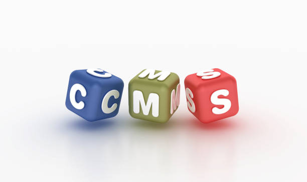تاثیر cms بر قیمت سئو